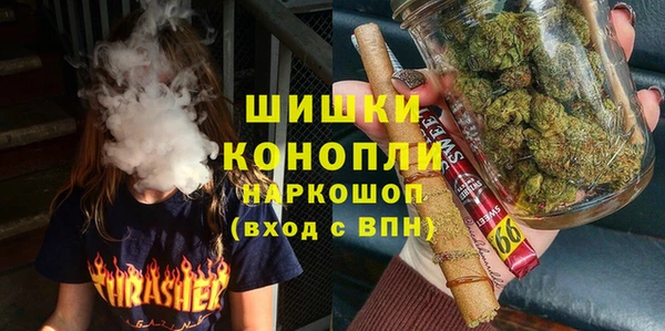 шишки Балабаново