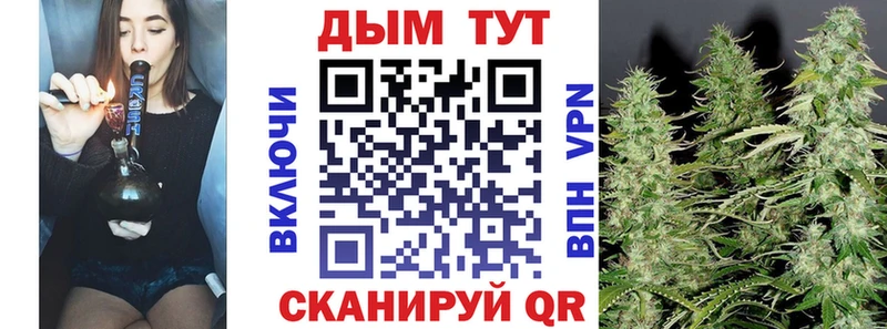 Канабис планчик  мега ТОР  Усть-Джегута 